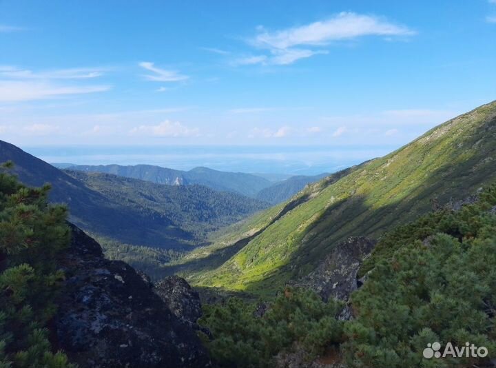 Продаю шикарные фотокартины для интерьера