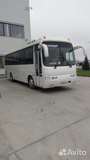 Аренда автобуса, заказ микроавтобуса развоз сотруд