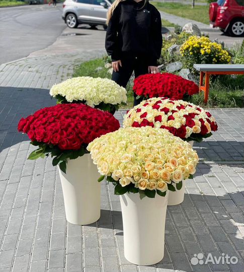Розы Цветы Доставка 25 51 101 151 201 301 501
