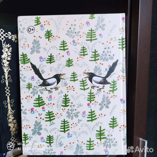 Болтали две сороки Васнецов