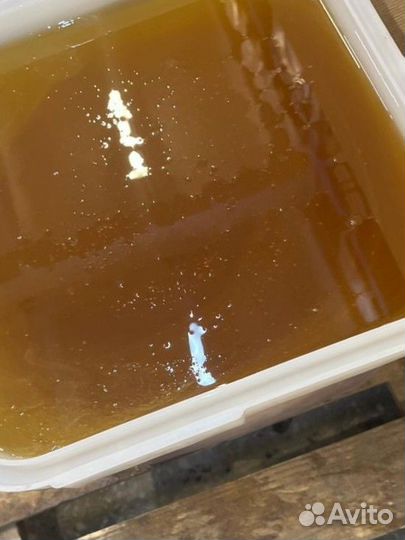 Мед оптом / лесной