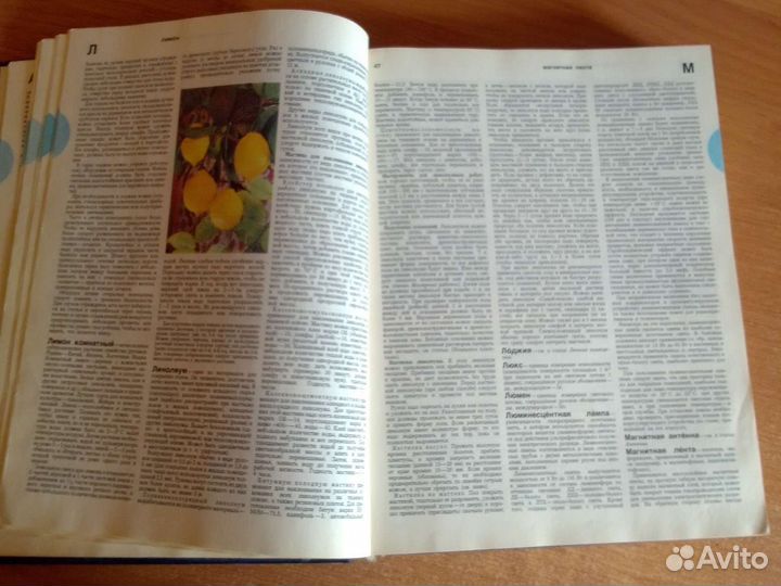 Краткая энциклопедия домашнего хозяйства