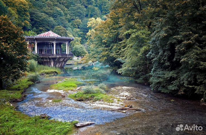 Индивидуальные экскурсии в Абхазию класса lux