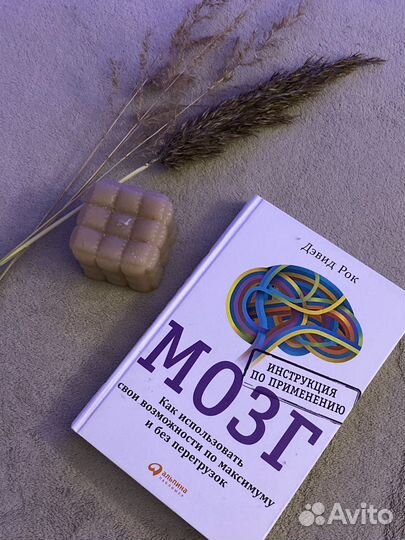 Мозг инструкция по применению Дэвид Рок