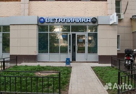 Ветеринарные услуги