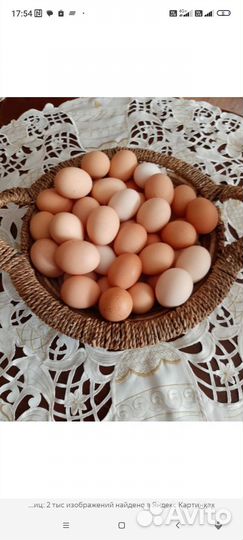 Домашние куриные яйца