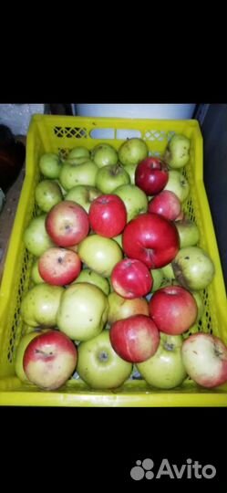 Сушеные яблоки