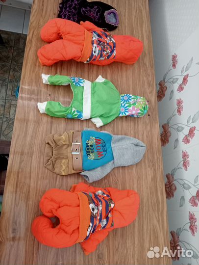 Одежда для маленьких собак