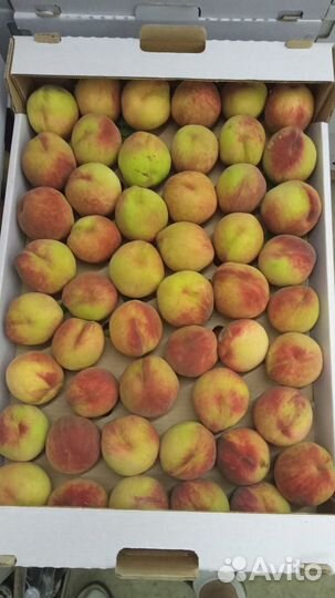 Персик оптом и в розницу