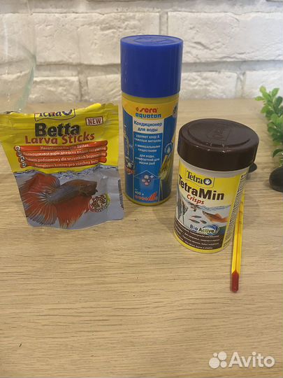 Круглый аквариум