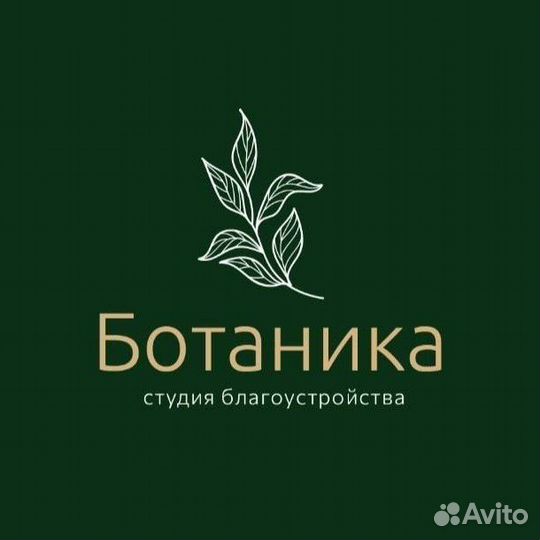 Саженцы Роз