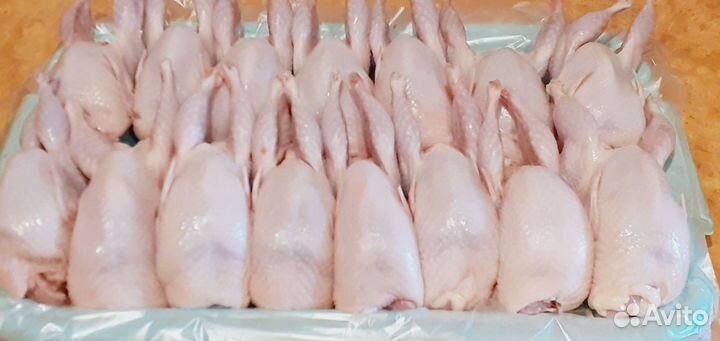 Мясо и яйца перепелов