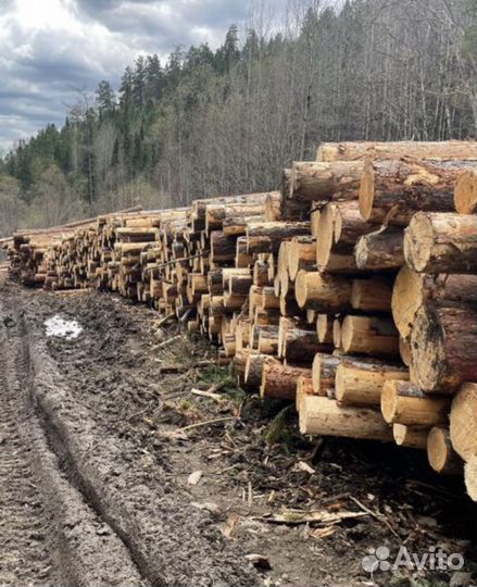 Продам лес кругляк
