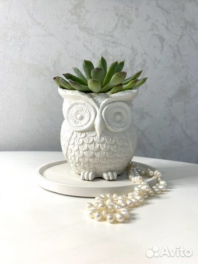 Кашпо из гипса