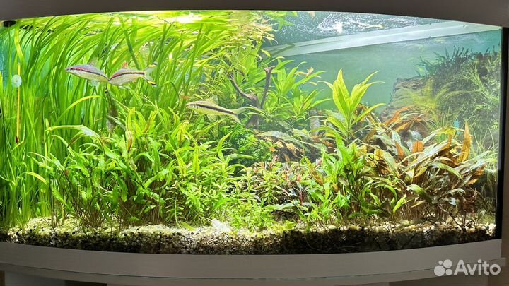 Аквариум со всем инвентарем