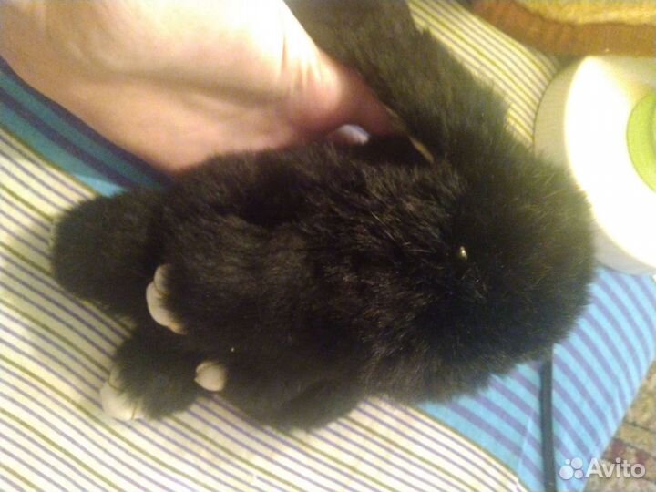 Очень пушистый чёрный заяц-брелок