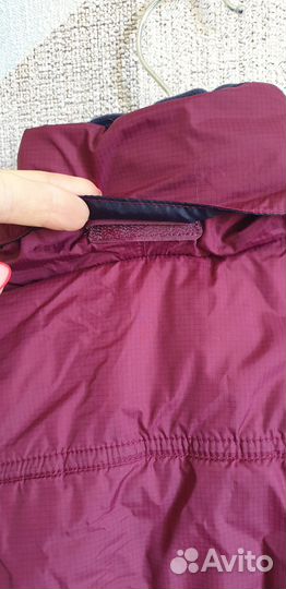 Куртка для конного спорта