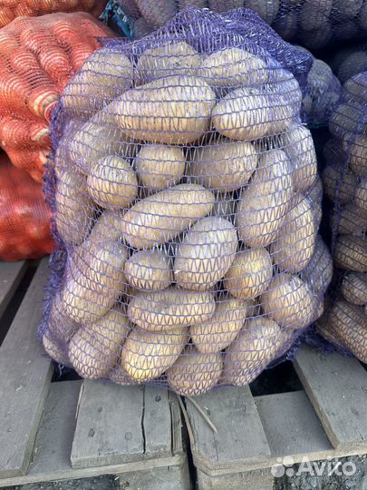 Картофель лук на зиму