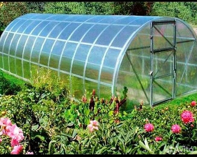 Теплица