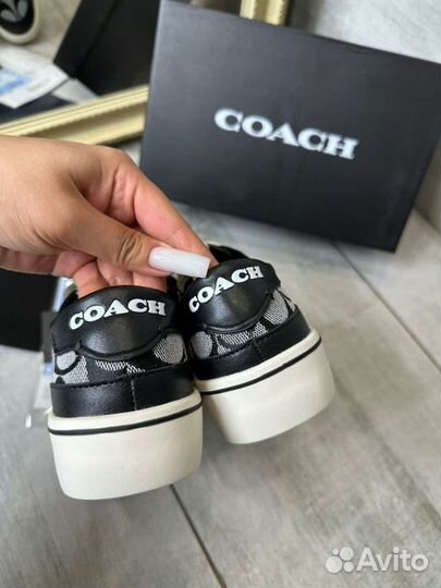 Кеды Coach