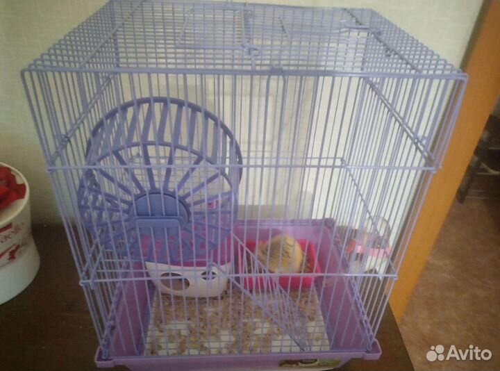 Сирийский хомяк с клеткой