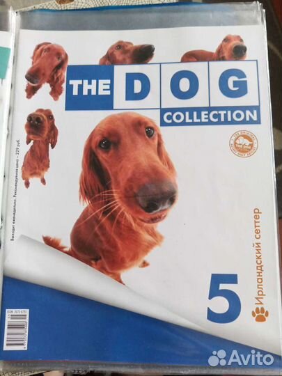Журнал the Dog collection