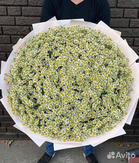 Букеты. Доставка ромашек