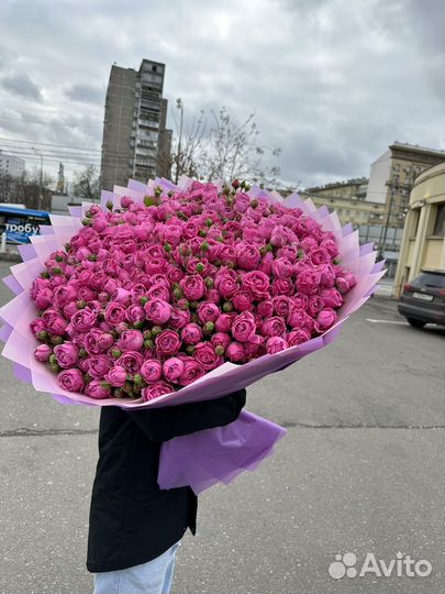 Роза, пионовидная роза, роза 101