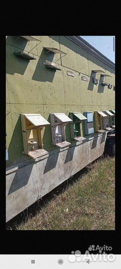 Пчелиный павильон,домик,сушь,паровая воскотопка