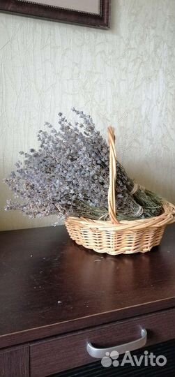 Лаванда сухая