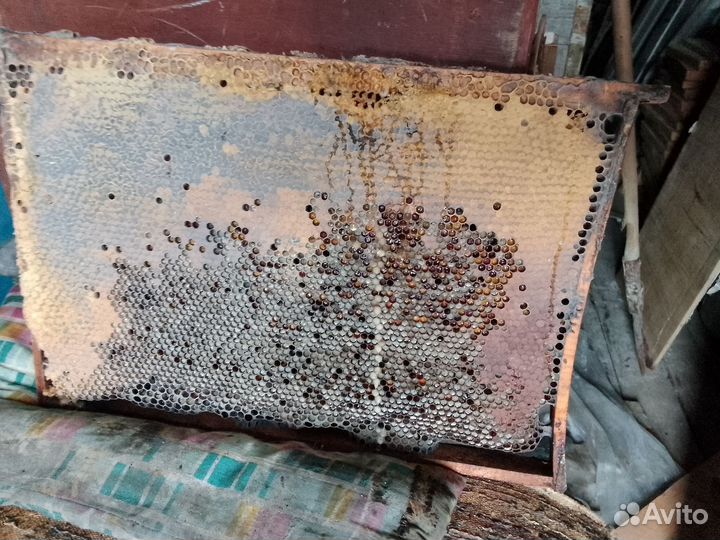 Продам Сушь для пчел с медом