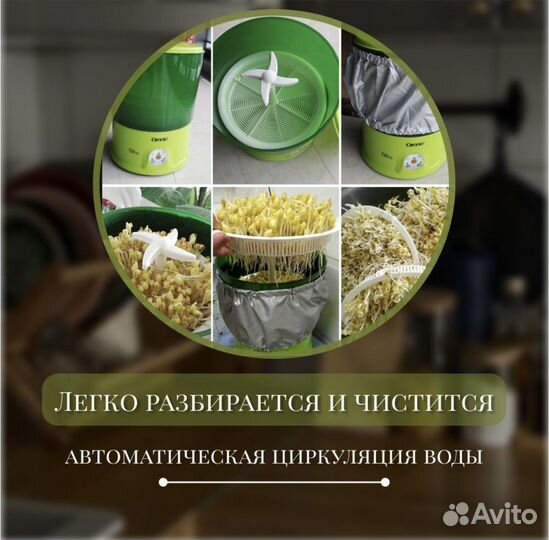 Проращиватель семян, проростков, микрозелени