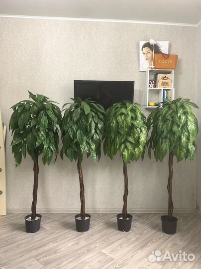 Искусственное дерево Манго