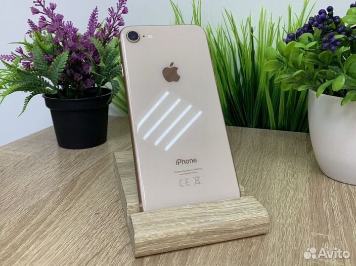 iPhone 8, 64 ГБ