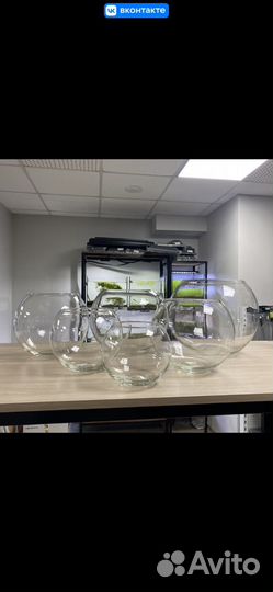 Аквариум круглый (шар)