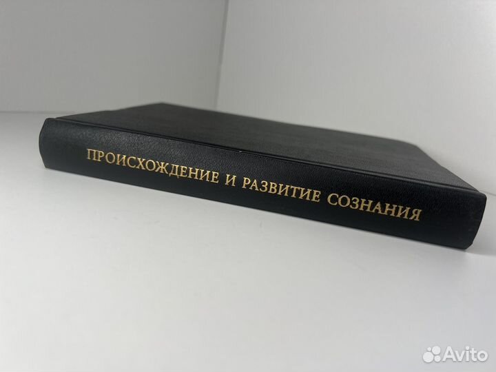 Эрих Нойманн. Происхождение и развитие сознания