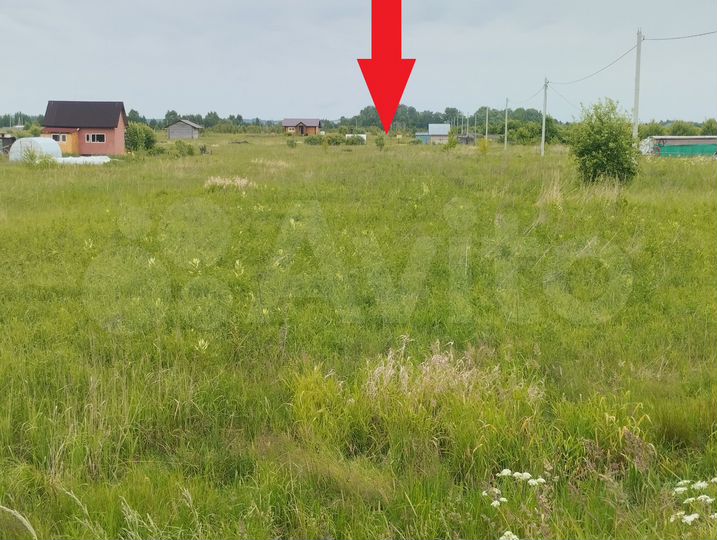 Участок 8 сот. (СНТ, ДНП)