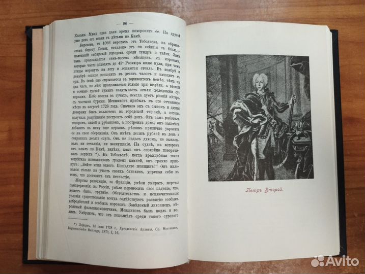 К. Валишевский. Преемники Петра 1912 г. репринт 19