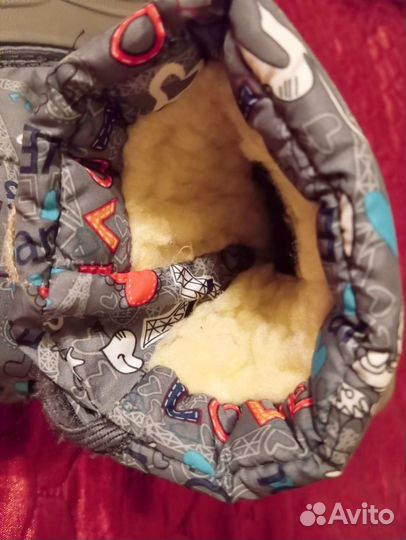 Сапожки демисезонные