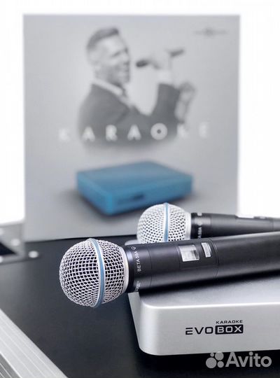 Караоке для дома evobox