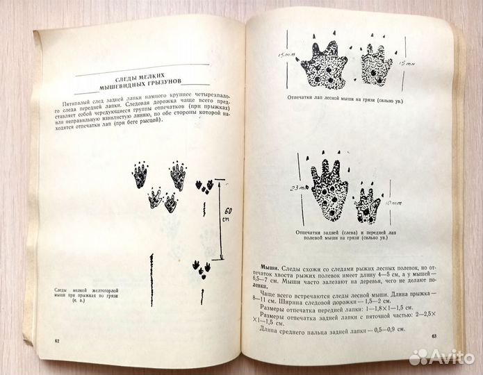 Следы птиц и животных Определитель И.Карякин