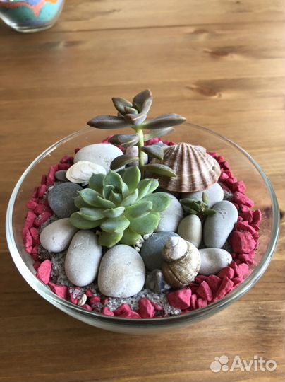 Флорариум на заказ