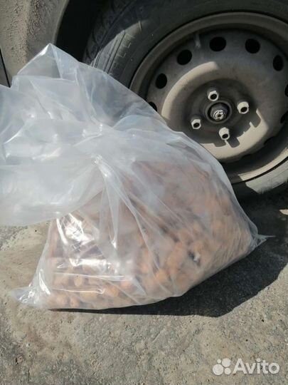 Пробки корковые от шампанского 500шт.(1.5руб/шт.)