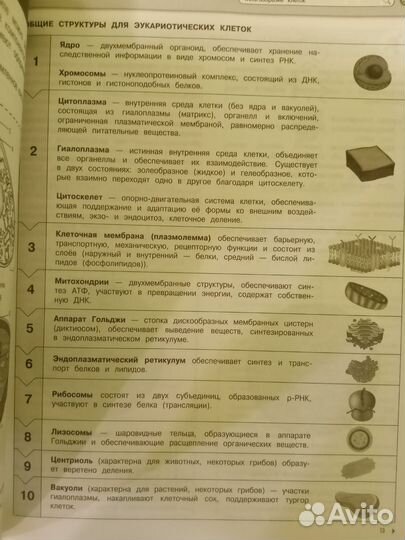 Сборник для ОГЭ ЕГЭ по биологии Мазур Никитинская