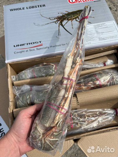 Лобстер-лангуст Отборный. Доставочка на 18.07