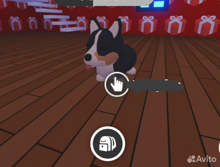 Адоптми петы