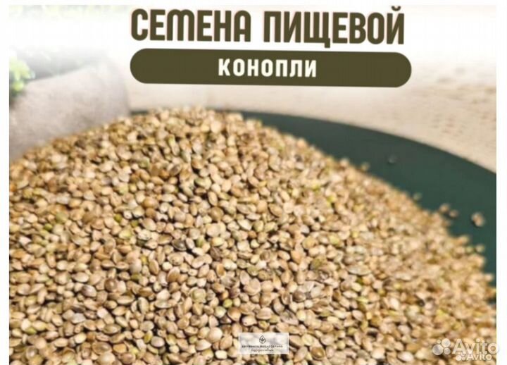 Пищевая конопля семена новые
