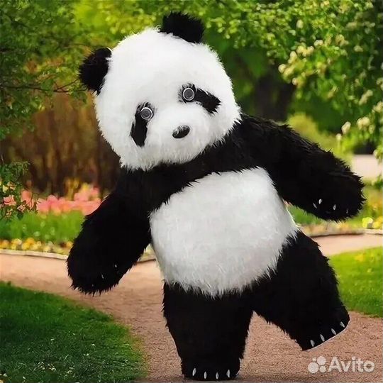 Аниматор Панда