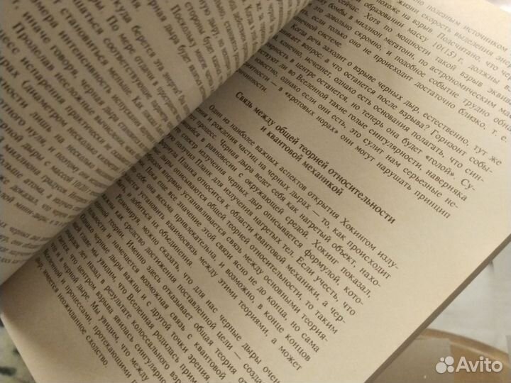 Мечта Эйнштейна Б.Паркер