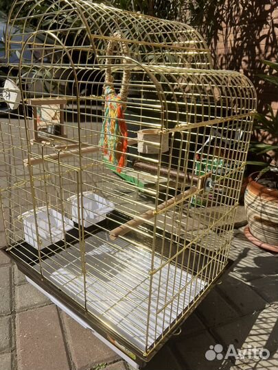 Клетка для крупного попугая